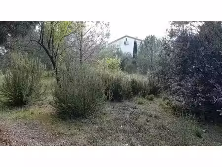 terrain à vendre - le boulou (mas blanc)