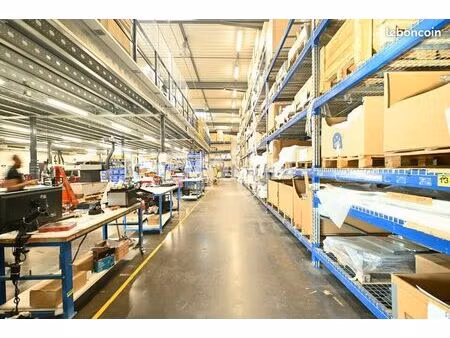 local d'activité 493 m²