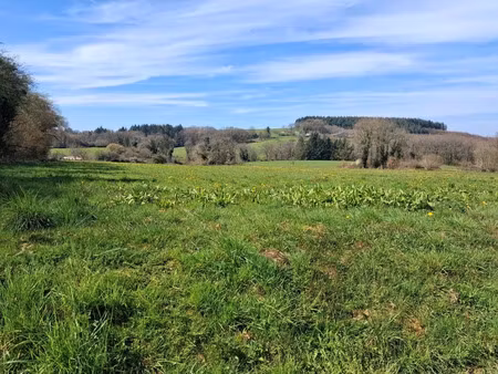 vente terrain 1508 m² neuvic-entier (87130)