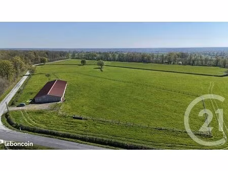 terrain 15 026 m² bressolles