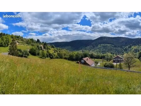 rare terrain constructible – 800 m d’altitude – plein sud – la bresse / route gérardmer