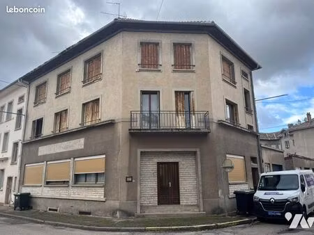 immeuble 314 m² chatel sur moselle