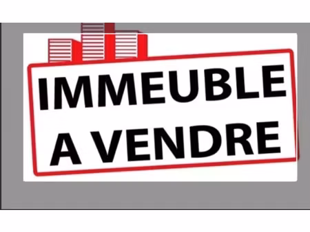 vente immeuble 222 m² la clayette (71800)