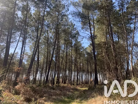 vente terrain 67925 m² mézeray (72270)