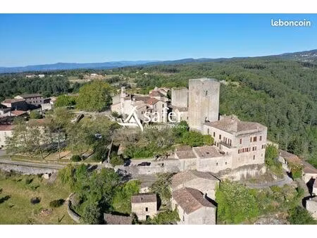 château 800 m² laurac-en-vivarais