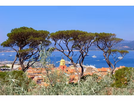 annonce commerce à louer