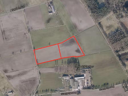 terrain à vendre à bocholt € 161.040 (lmpbe) - hilde engels | zimmo