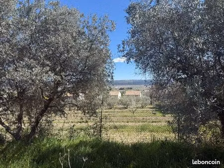 terrain 1000m2 viabilisé cloturé