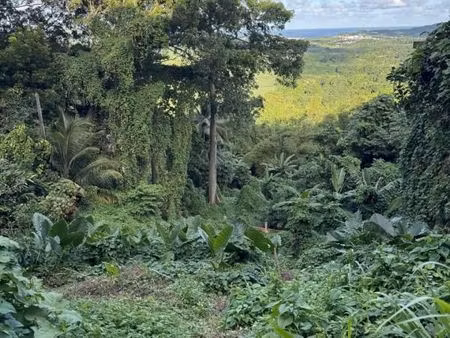 terrain 1 523 m² le francois