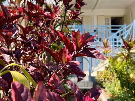 appartement de type f4 sur le tampon