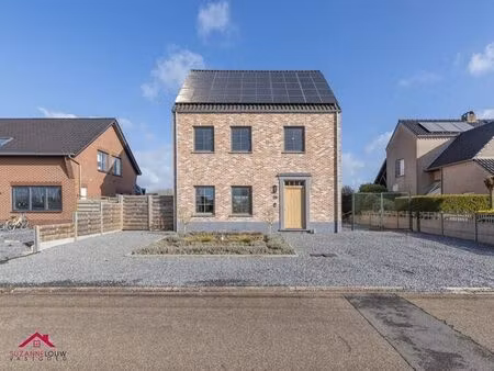 maison à vendre à kinrooi (lmprf) - suzanne louw vastgoed | zimmo