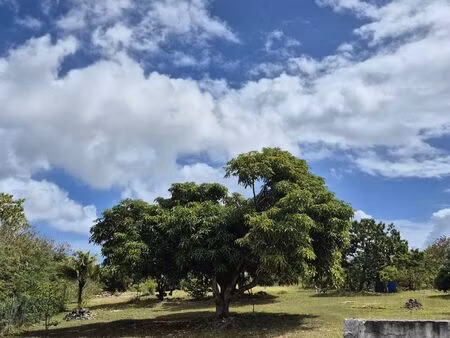 terrain 663 m² anse-bertrand