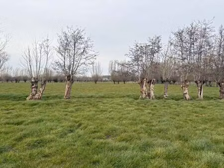 terrain à vendre à sijsele € 395.000 (lmpxb) - bonne vastgoed | zimmo