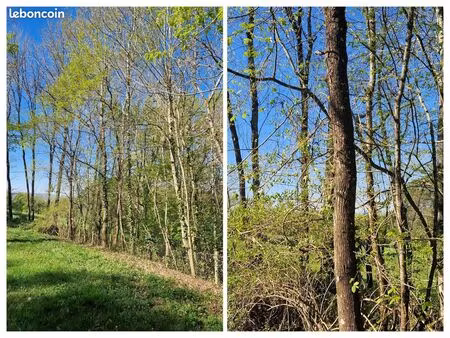 terrain boisé en nature de jardin non constructible