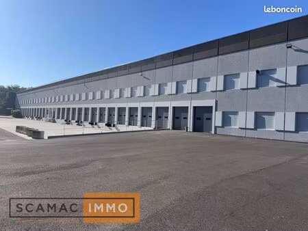local industriel 8 018 m²