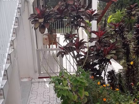 f2 à louer à deshaies