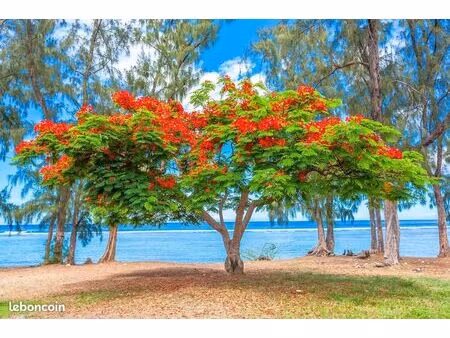 gardiennage maison/appartement-maman+ 1 enfant serieuxx( juin-juillet)