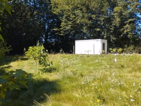 terrain de loisir et parcelle de bois