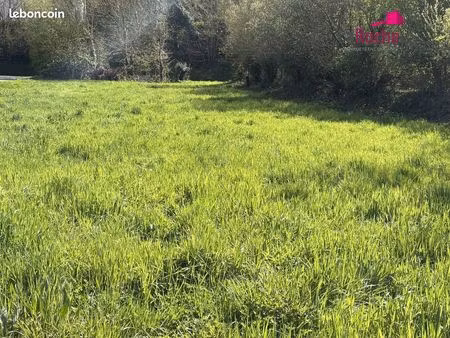 terrain 1601 m² la roche-maurice