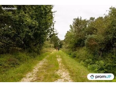 terrain 5 700 m² landunvez