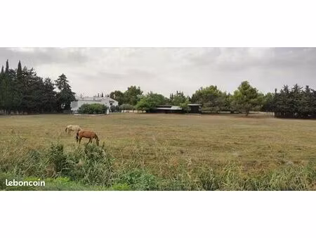 mas 10 pièces 250m² 2 logements 25000m² box chevaux