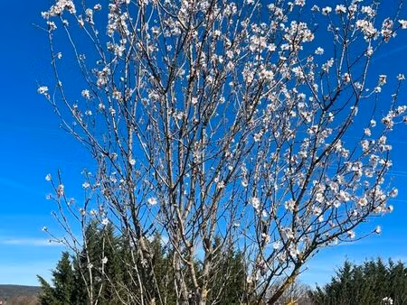 terrain 2 600 m² collias