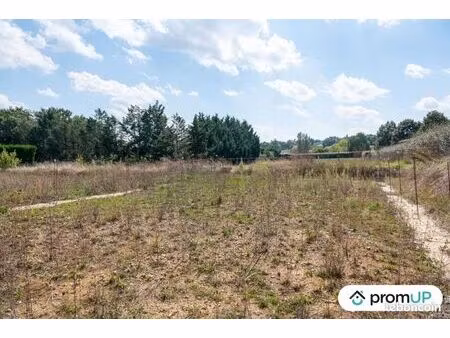 terrain 2 485 m² mauvezin