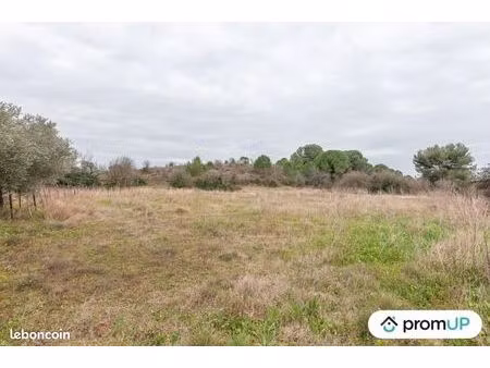 terrain agricole 10 610 m² lunel viel