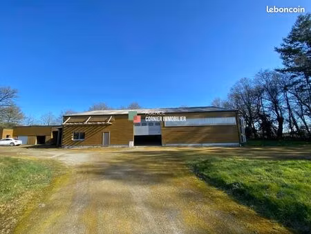 local d'activité 540 m²