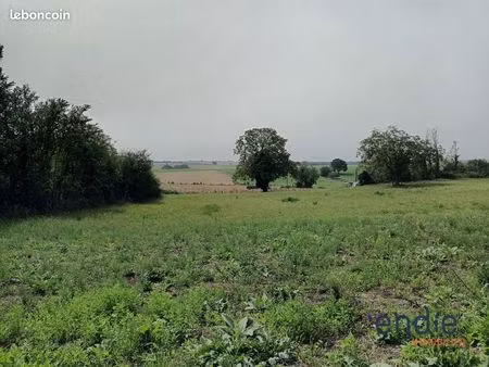 terrain 1536 m² chinon