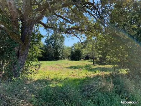 terrain à bâtir/constructible