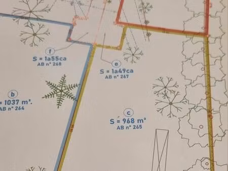 terrain viabilisé 1000m2