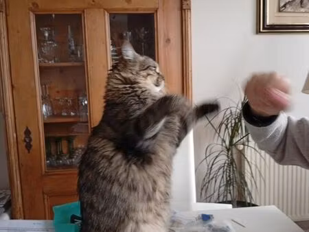 achat t3 recent béziers uniquement