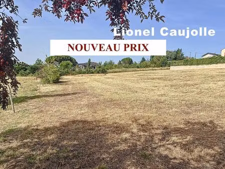 vente terrain 4220 m² rabastens (81800)