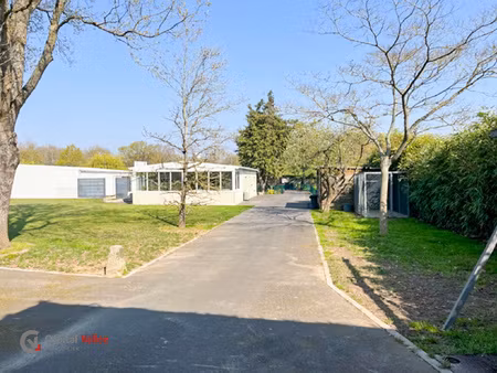 ensemble immobilier & fonds de commerce - pension canine & f