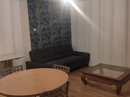 charmant t2 meublé de 53 m² au cœur de saint-galmier