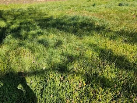 parcelle agricole 3500m2