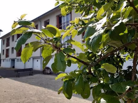 spacieux t3 faucogney