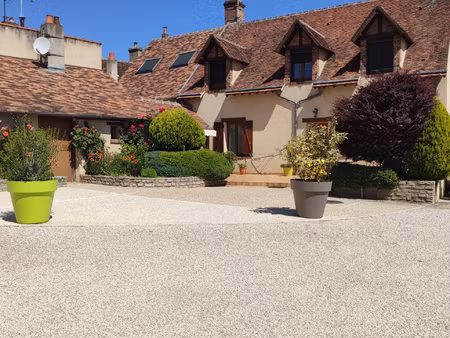 vente : maison 15 pièces (360 m2) à montargis