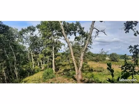 terrain de loisir 1500 m2