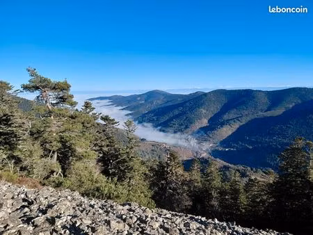 parcelle forestière