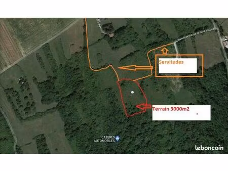 terrain naturel en bord de forêt