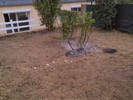 maison 2 pièces 42 m²