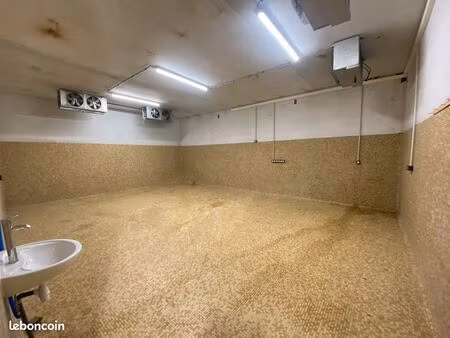 local commercial  atelier  entrepôt  laboratoire 51 m2