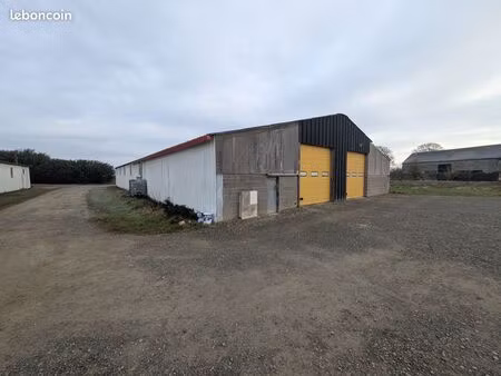 local 160 m² saint-sauveur-des-landes