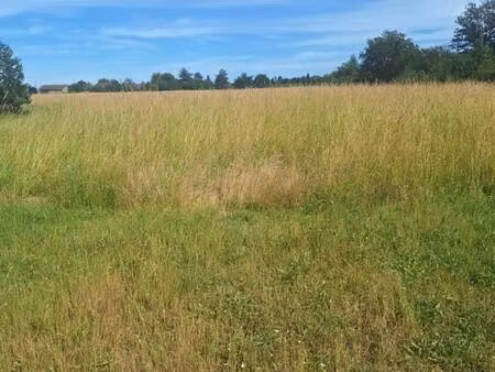 terrain 1 000 m² saint cezert