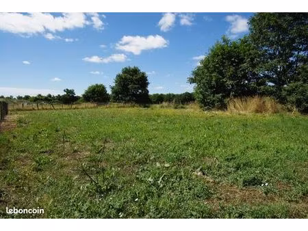 terrain constructible