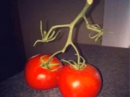 recherche un terrain