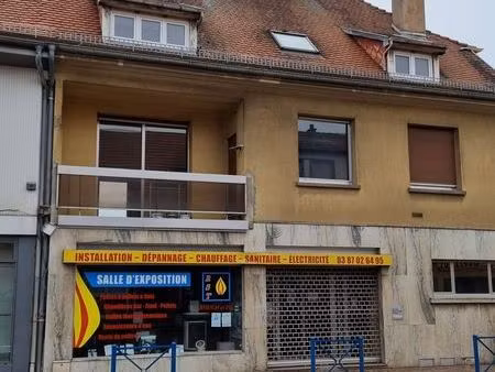 immeuble 370 m² puttelange-aux-lacs