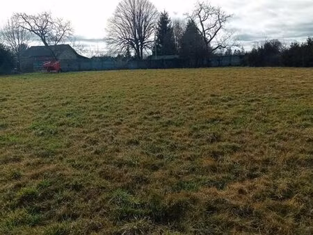 terrain plat 2900 m2